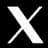 X (Twitter)