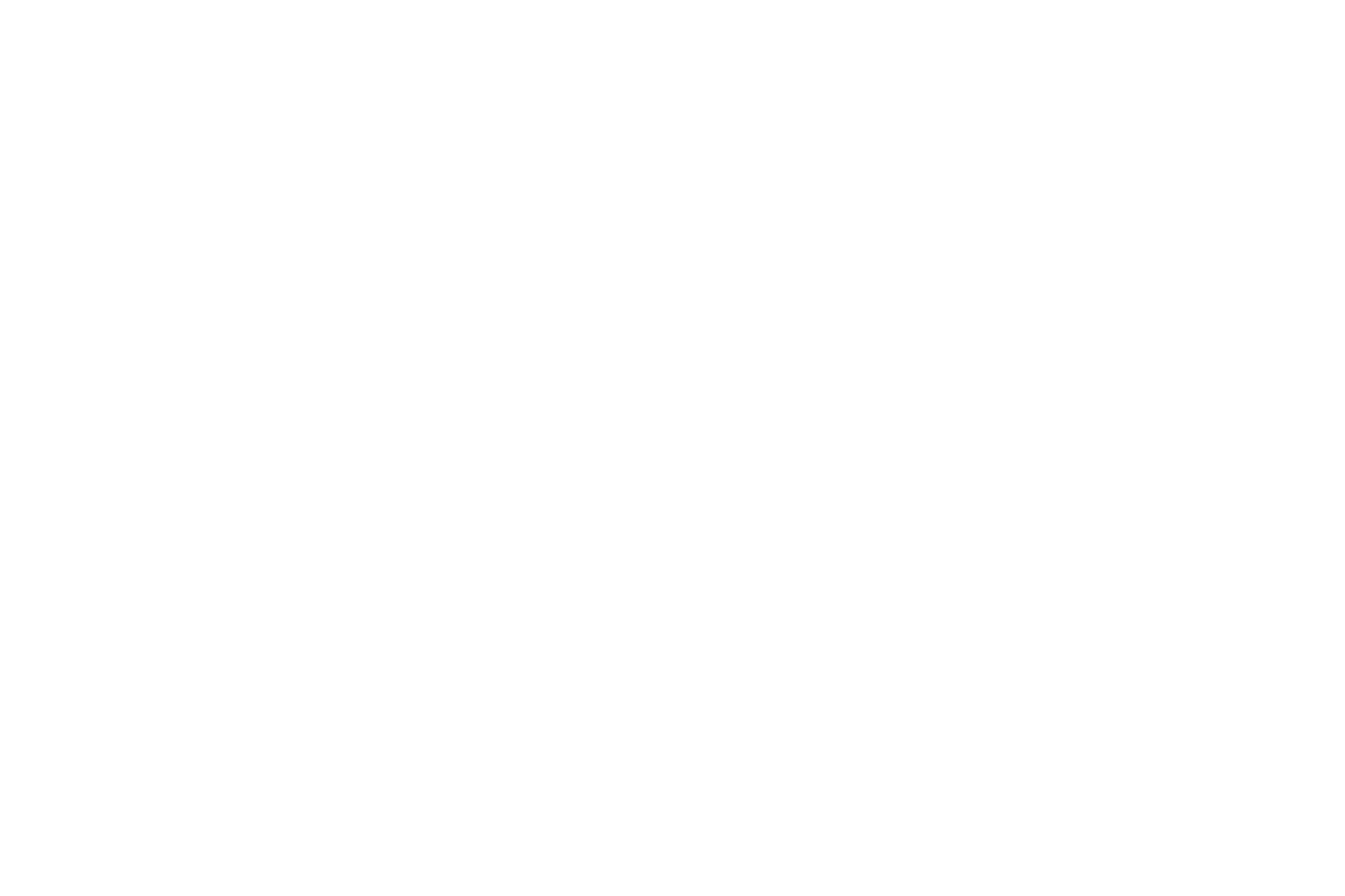 Guild of Guardians